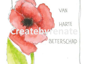 Van harte beterschap Nr. 4